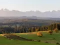 Malowniczy punkt widokowy na Tatry. Zielone wzgórza, lasy i pasące się zwierzęta w jesiennym słońcu.