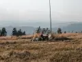 Dwa psy eksplorują trawiaste wzgórze z widokiem na góry. Idealne miejsce, gdzie w góry z psem.