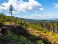 Widok na Śnieżnicki Park Krajobrazowy z wycinką drzew. W oddali lasy i wzgórza.
