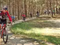 Grupa rowerzystów pokonuje malowniczą trasę w Borach Tucholskich.