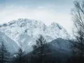 Zimowe Tatry dla średniozaawansowanych. Śnieżne szczyty, gęste lasy i nagie drzewa tworzą surowy, ale piękny krajobraz.