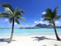 Rajskie plaże, palmy i domki na wodzie – idealne fajne miejsca na wakacje za granicą.