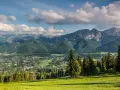 Widok na Tatry z piętrami roślinności: od zielonych łąk i lasów iglastych po skaliste szczyty.