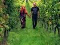 Para spaceruje po winnicy na Dolnym Śląsku, trzymając się za ręce. Wokół bujne zielone liście i dojrzałe winogrona.
