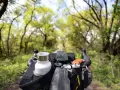 Rowerowy trekking to przygoda! Widok z kierownicy na zieloną aleję drzew, z sakwami i bidonem gotowymi na dalszą drogę.