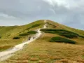 Szlak na Giewont, idealny punkt na plan "Zakopane w 3 dni co zwiedzić". Wędrówka pośród zielonych zboczy i kosodrzewiny.