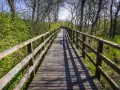 Drewniany mostek na trasie rowerowej Świnoujście Hel, otoczony zielenią i drzewami.