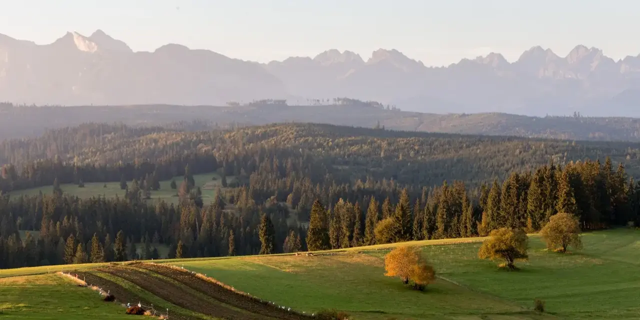 Malowniczy punkt widokowy na Tatry. Zielone wzgórza, lasy i pasące się zwierzęta w jesiennym słońcu.