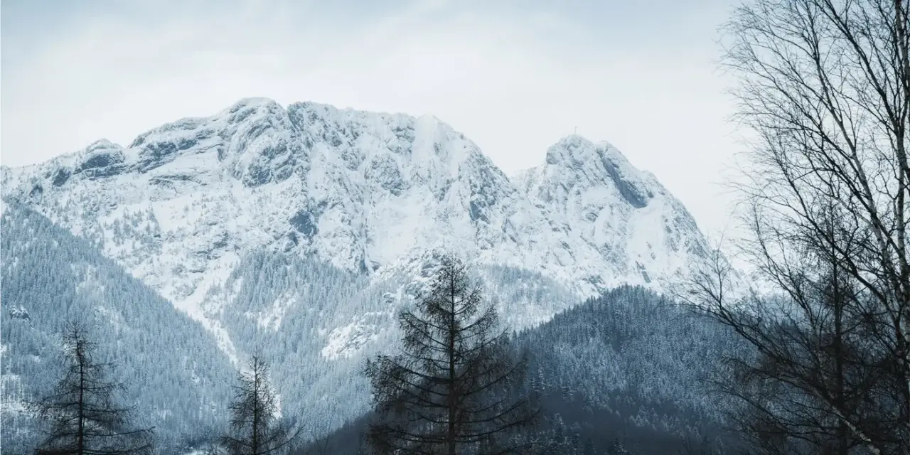 Zimowe Tatry dla średniozaawansowanych. Śnieżne szczyty, gęste lasy i nagie drzewa tworzą surowy, ale piękny krajobraz.