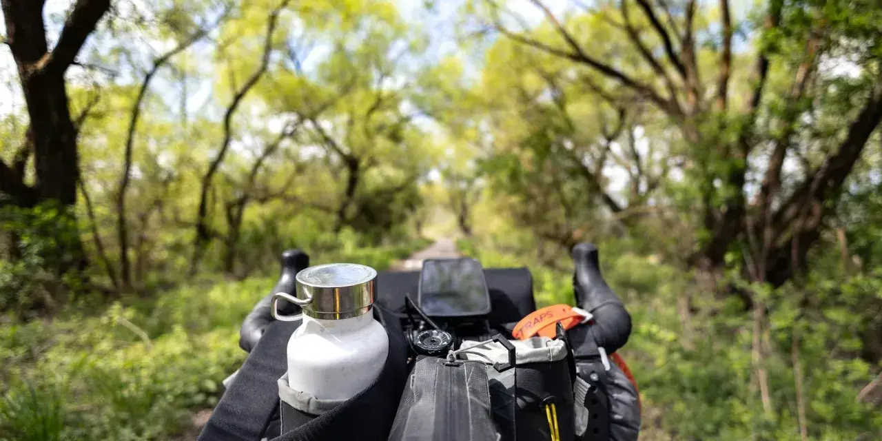 Rowerowy trekking to przygoda! Widok z kierownicy na zieloną aleję drzew, z sakwami i bidonem gotowymi na dalszą drogę.