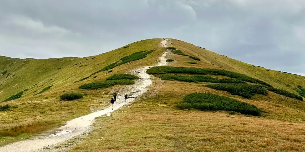 Szlak na Giewont, idealny punkt na plan "Zakopane w 3 dni co zwiedzić". Wędrówka pośród zielonych zboczy i kosodrzewiny.