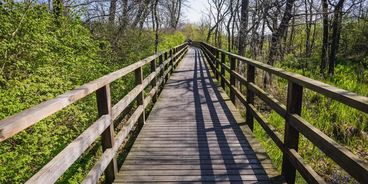 Drewniany mostek na trasie rowerowej Świnoujście Hel, otoczony zielenią i drzewami.