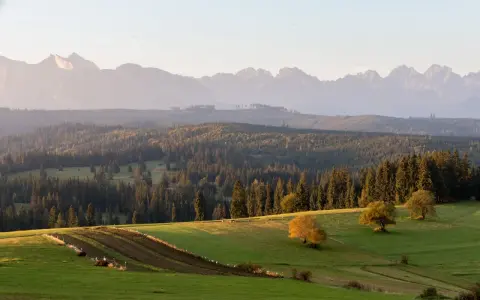 Malowniczy punkt widokowy na Tatry. Zielone wzgórza, lasy i pasące się zwierzęta w jesiennym słońcu.