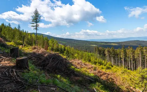 Widok na Śnieżnicki Park Krajobrazowy z wycinką drzew. W oddali lasy i wzgórza.