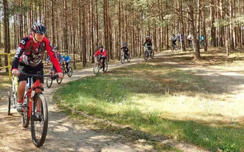 Grupa rowerzystów pokonuje malowniczą trasę w Borach Tucholskich.