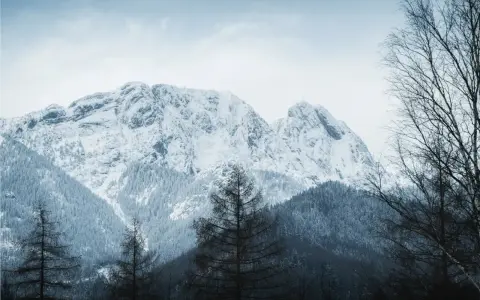 Zimowe Tatry dla średniozaawansowanych. Śnieżne szczyty, gęste lasy i nagie drzewa tworzą surowy, ale piękny krajobraz.