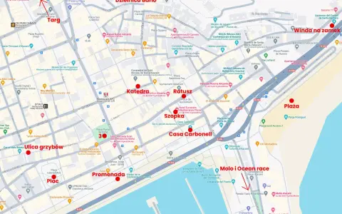 Alicante co warto zobaczyć: Winda na zamek, Plac, Targ, Katedra, Ratusz, Promenada, Ulica grzybów, Molo i Ocean race.