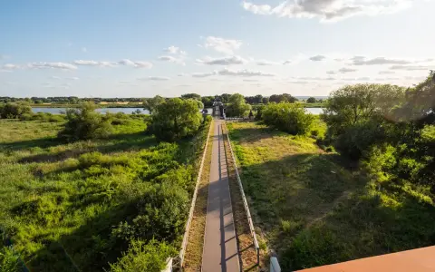 Słoneczna ścieżka rowerowa w zachodniopomorskim prowadzi przez zielone tereny nad rzeką, zachęcając do aktywnego wypoczynku.