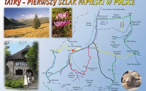 Mapa szlaku papieskiego w Tatrach z widokami na Polanę Chochołowską, krokusy i schronisko.