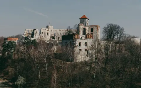 Ruiny zamku na wapiennym wzgórzu, część Szlaku Orlich Gniazd, otoczone drzewami.