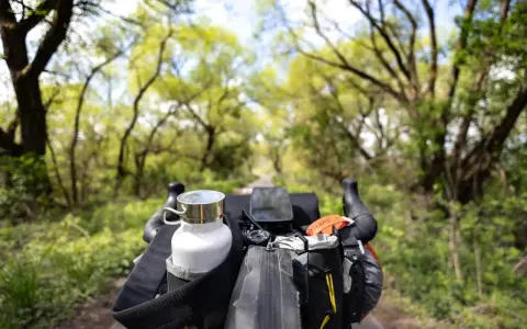 Rowerowy trekking to przygoda! Widok z kierownicy na zieloną aleję drzew, z sakwami i bidonem gotowymi na dalszą drogę.