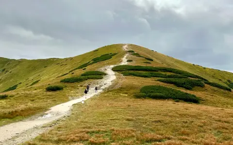 Szlak na Giewont, idealny punkt na plan "Zakopane w 3 dni co zwiedzić". Wędrówka pośród zielonych zboczy i kosodrzewiny.