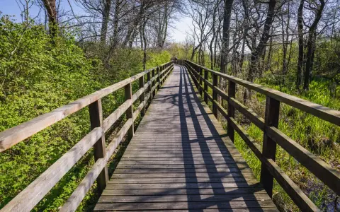 Drewniany mostek na trasie rowerowej Świnoujście Hel, otoczony zielenią i drzewami.