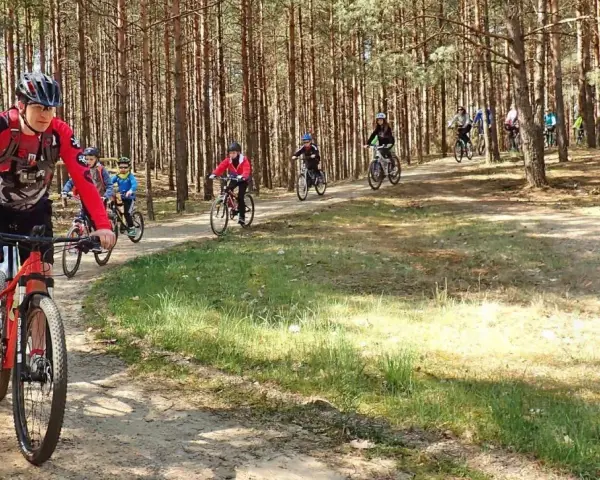 Grupa rowerzystów pokonuje malowniczą trasę w Borach Tucholskich.