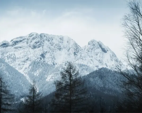 Zimowe Tatry dla średniozaawansowanych. Śnieżne szczyty, gęste lasy i nagie drzewa tworzą surowy, ale piękny krajobraz.