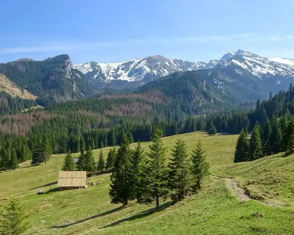 Piękne jezioro w górach, otoczone lasem i ośnieżonymi szczytami. W oddali widać drewniany domek.