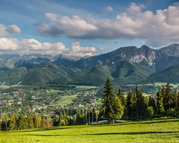 Widok na Tatry z piętrami roślinności: od zielonych łąk i lasów iglastych po skaliste szczyty.