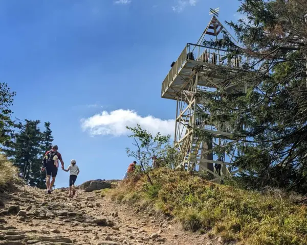 Rodzina wędruje kamienistym szlakiem na Baranią Górę. W oddali widać wieżę widokową.