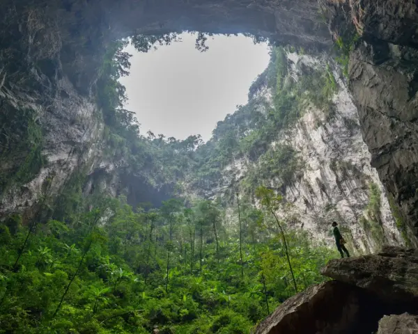 Niesamowity widok z wnętrza jaskini Hang Son Doong. Człowiek stoi na skale, podziwiając bujną roślinność i ogromne skalne ściany.