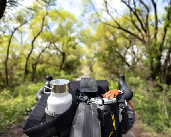 Rowerowy trekking to przygoda! Widok z kierownicy na zieloną aleję drzew, z sakwami i bidonem gotowymi na dalszą drogę.