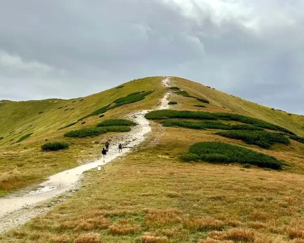 Szlak na Giewont, idealny punkt na plan "Zakopane w 3 dni co zwiedzić". Wędrówka pośród zielonych zboczy i kosodrzewiny.