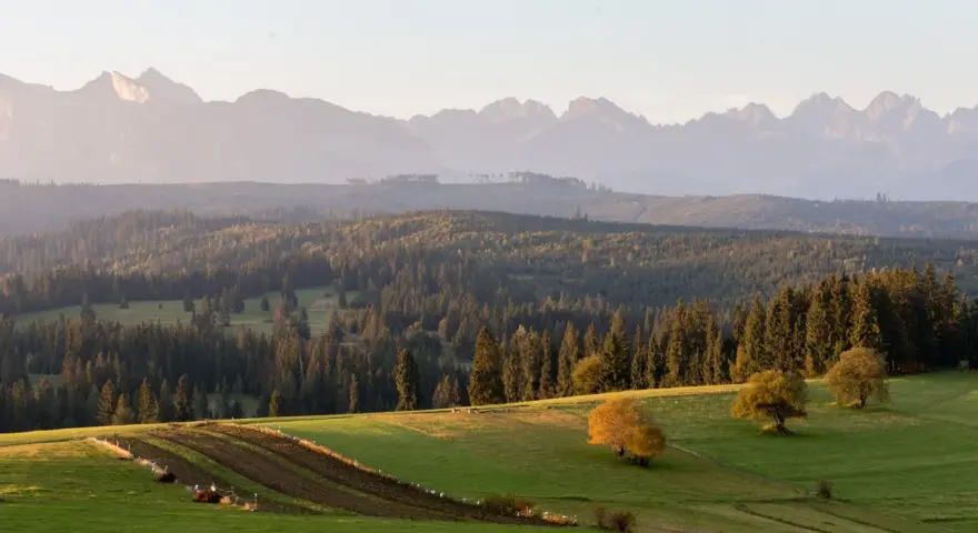 Malowniczy punkt widokowy na Tatry. Zielone wzgórza, lasy i pasące się zwierzęta w jesiennym słońcu.