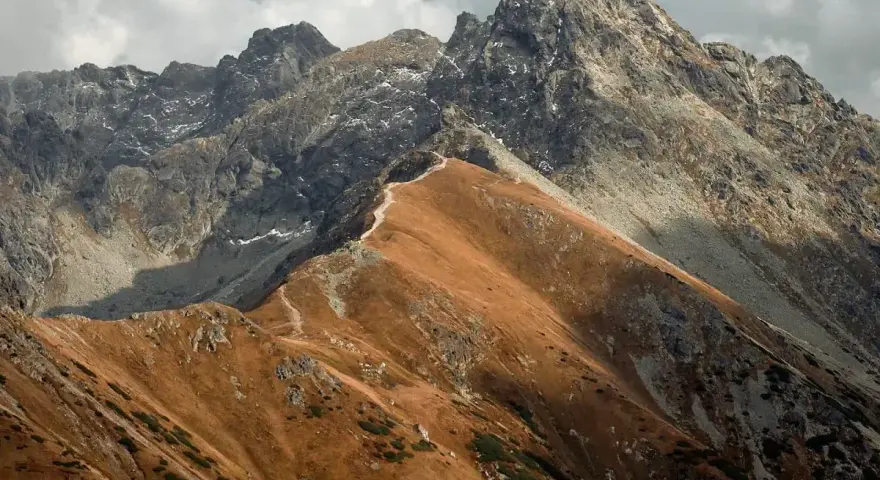 Wąska ścieżka wije się po zboczu górskim, tworząc szlak na Czerwone Wierchy. Jesienne barwy traw kontrastują z surowymi skałami.