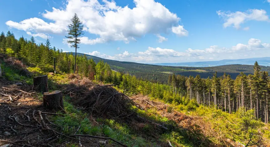 Widok na Śnieżnicki Park Krajobrazowy z wycinką drzew. W oddali lasy i wzgórza.