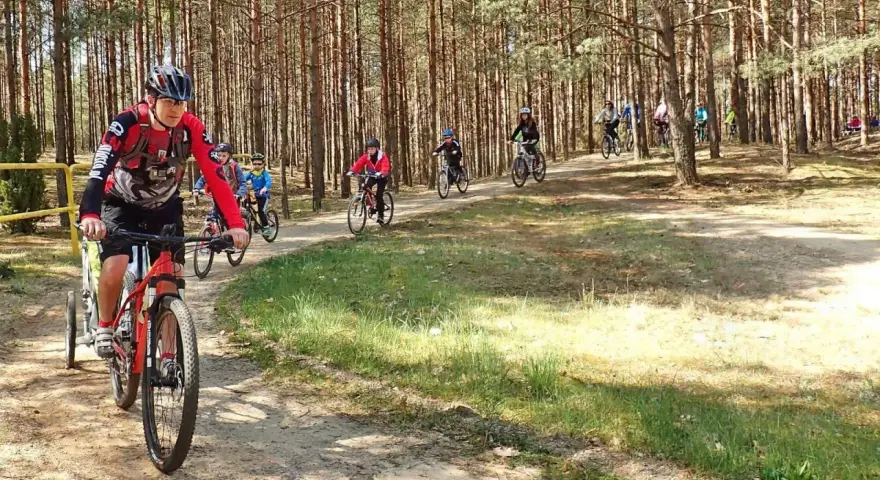 Grupa rowerzystów pokonuje malowniczą trasę w Borach Tucholskich.