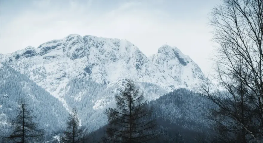 Zimowe Tatry dla średniozaawansowanych. Śnieżne szczyty, gęste lasy i nagie drzewa tworzą surowy, ale piękny krajobraz.