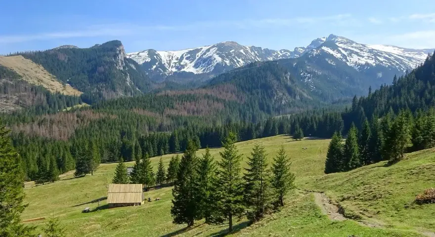 Zielone hale i lasy, a w tle ośnieżone, łatwe szczyty w Tatrach. Drewniana chata na polanie.