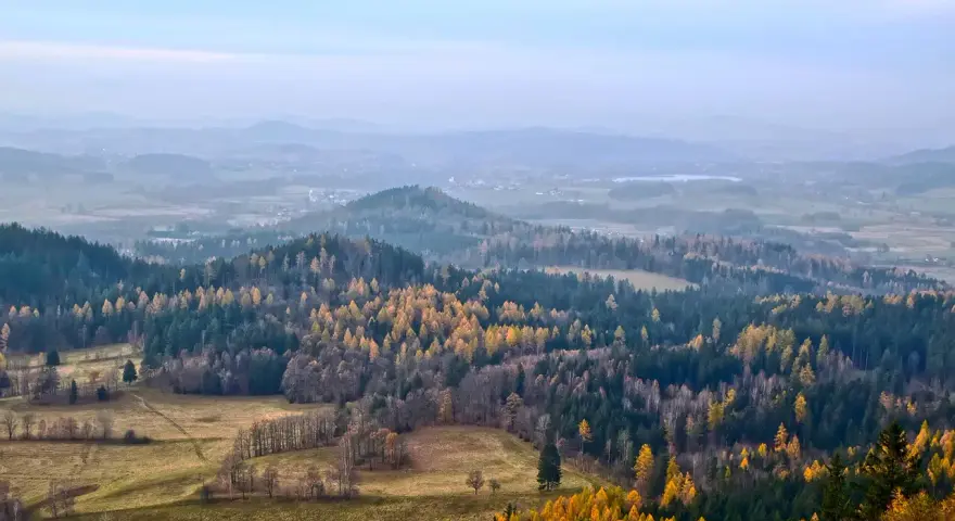 Jesienny krajobraz z kolorowymi drzewami na tle mglistych, niskich gór w Polsce.