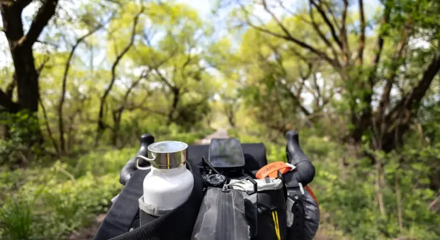 Rowerowy trekking to przygoda! Widok z kierownicy na zieloną aleję drzew, z sakwami i bidonem gotowymi na dalszą drogę.