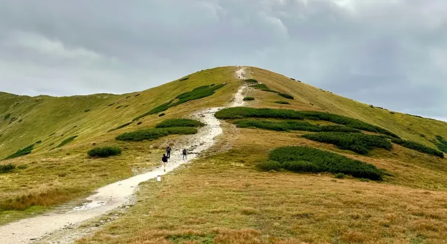 Szlak na Giewont, idealny punkt na plan "Zakopane w 3 dni co zwiedzić". Wędrówka pośród zielonych zboczy i kosodrzewiny.