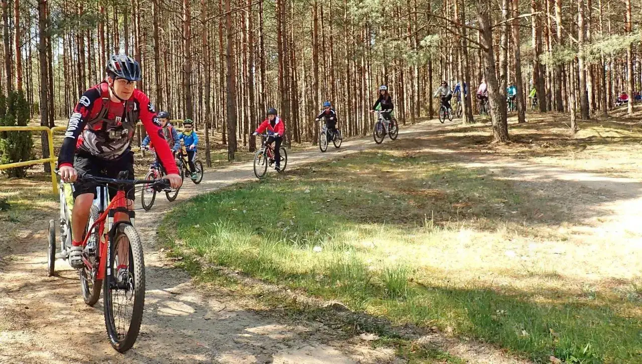 Grupa rowerzystów przemierza malowniczą trasę w Borach Tucholskich.