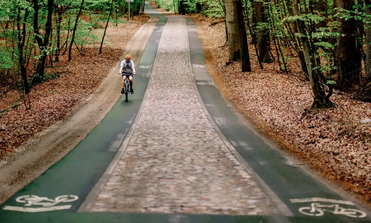 Rowerzysta przemierza malownicze trasy rowerowe Międzyzdroje, otoczony jesiennym lasem.