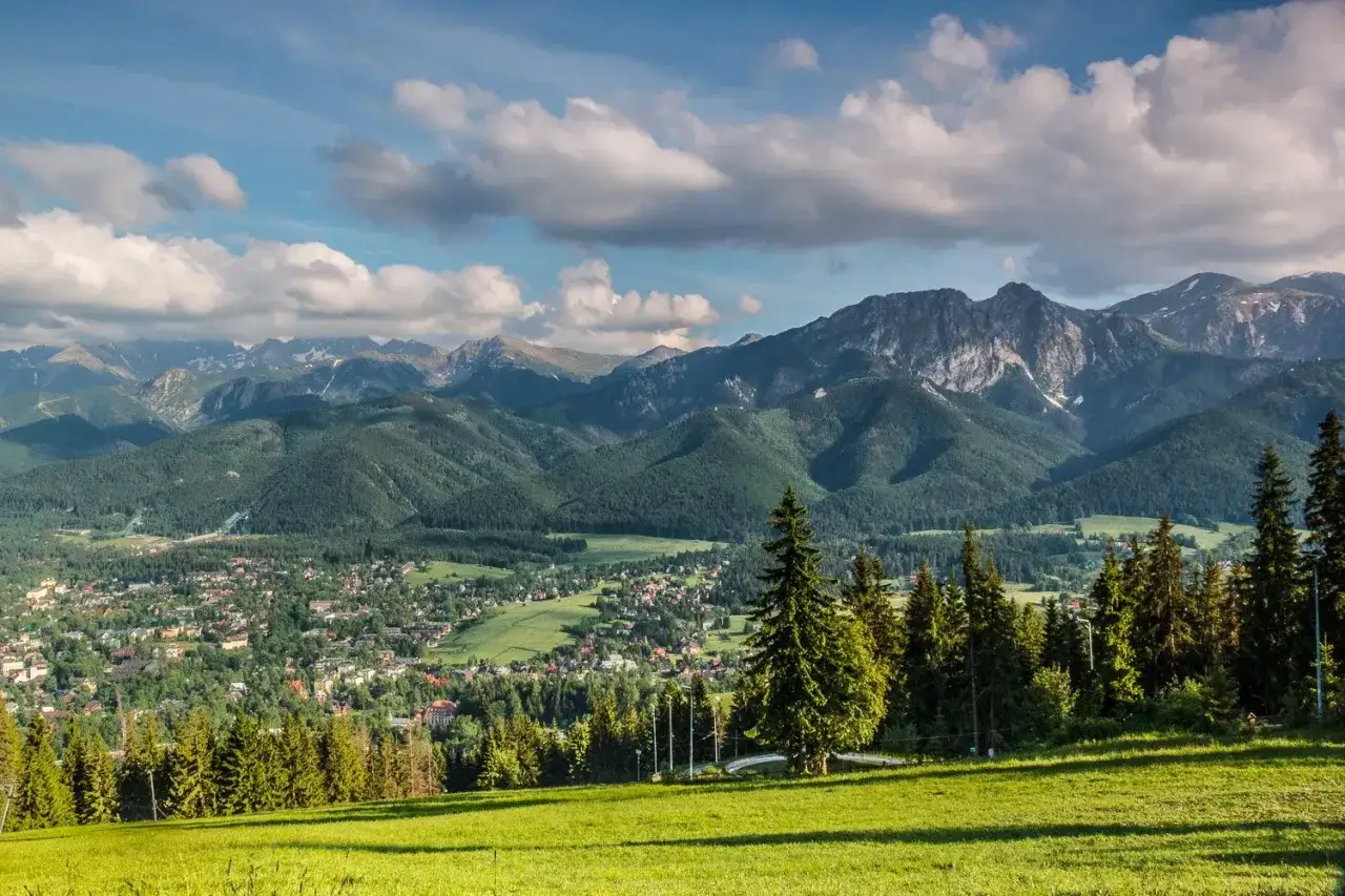 Widok na Zakopane i Tatry z piętrami roślinności: od zielonych łąk, przez lasy iglaste, po skaliste szczyty.