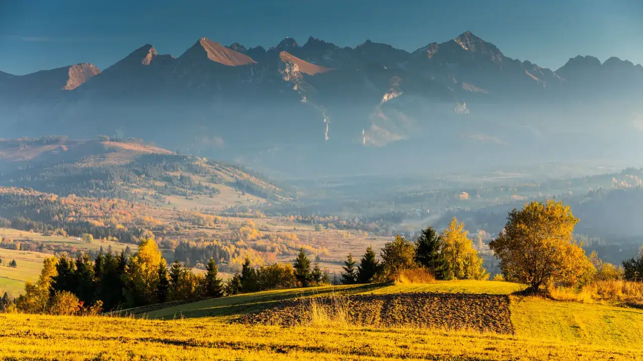 Złociste pola i jesienne drzewa na pierwszym planie, a w oddali mglisty punkt widokowy na Tatry.