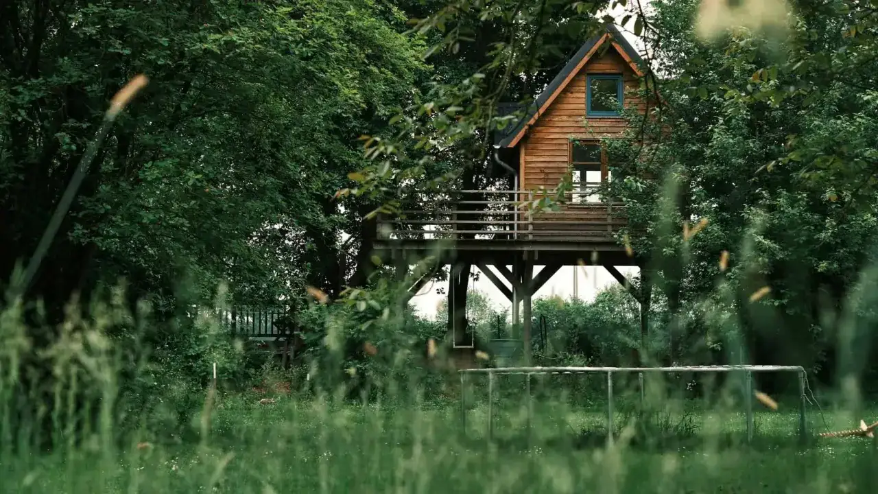 Domek na drzewie w lesie, idealne miejsce na nietypowe wakacje w Polsce. Huśtawka i trampolina czekają na gości.